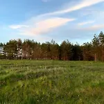 Little Sheep Chojna