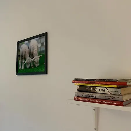 Apartamento Little Sheep Chojna