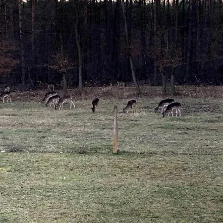 Apartamento Little Sheep