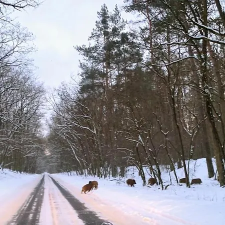 Little Sheep Apartamento
