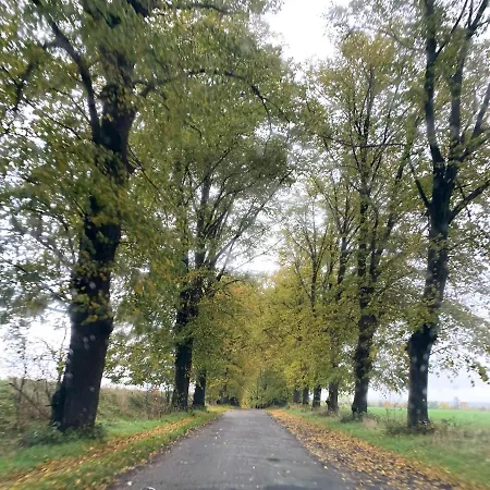 Little Sheep Apartamento Chojna