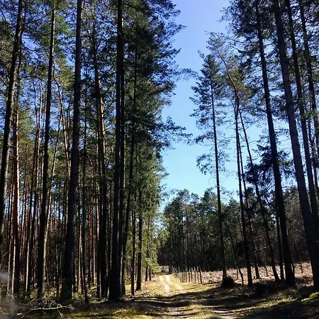 Little Sheep Apartamento