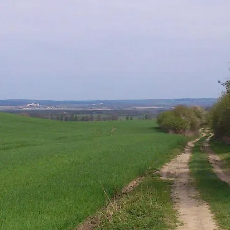 Little Sheep * Chojna