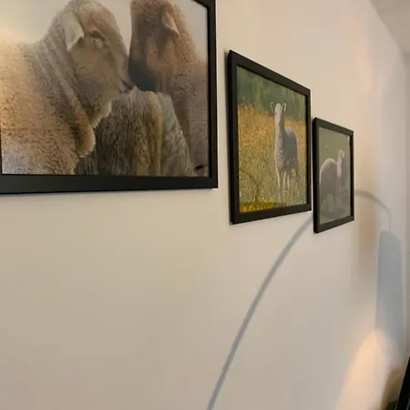 Little Sheep Apartamento Chojna