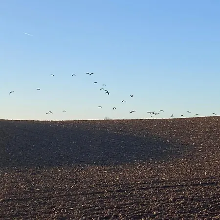 아파트 Little Sheep *