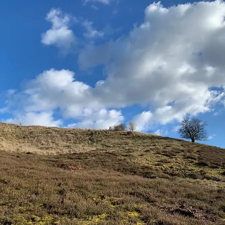 아파트 Little Sheep *