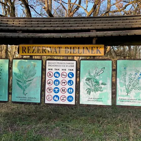 Little Sheep 아파트