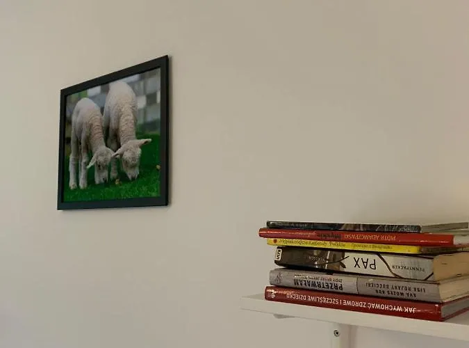 Apartment Little Sheep Chojna