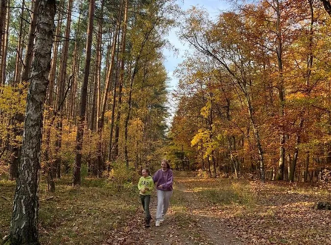 Apartment Little Sheep