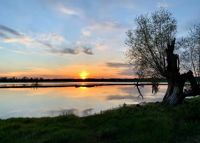 Little Sheep Apartament *