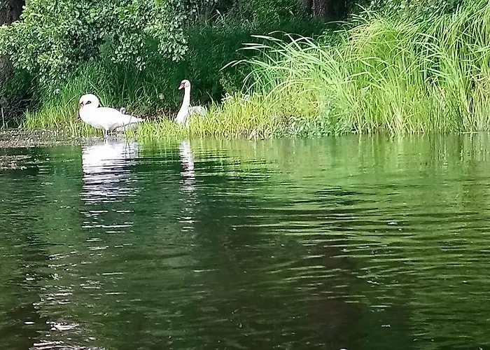 Appartement Little Sheep Chojna