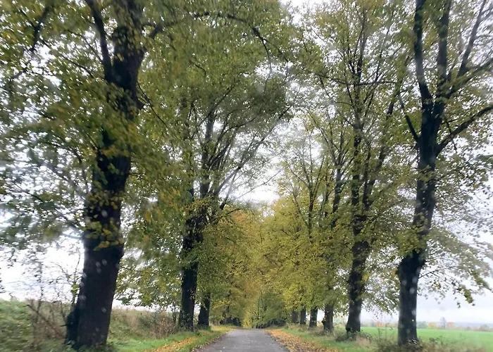 Little Sheep Apartament Chojna