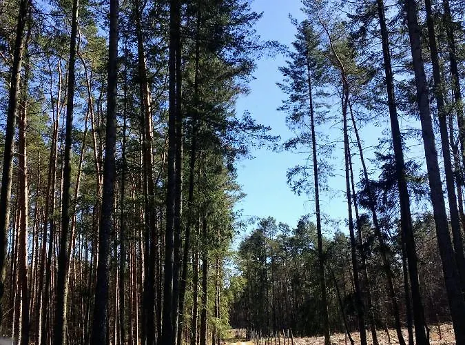 Little Sheep Apartment