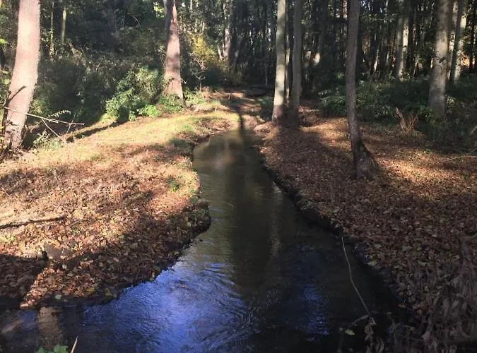 Little Sheep Appartement *