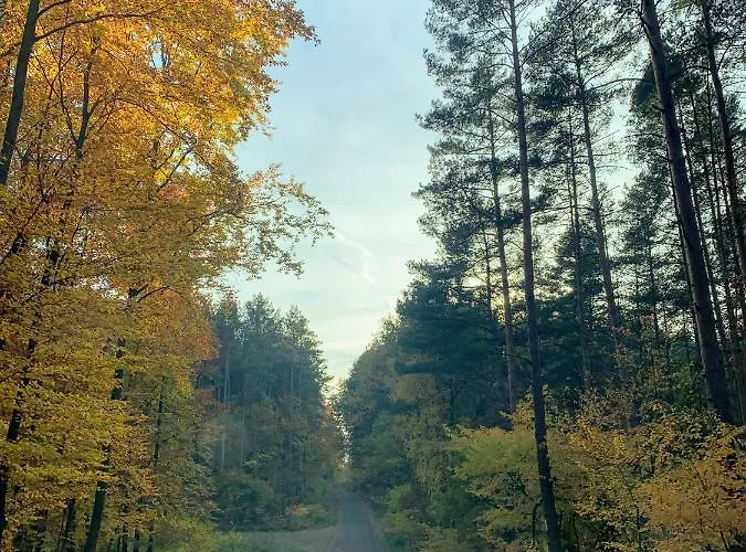 Little Sheep Apartment *