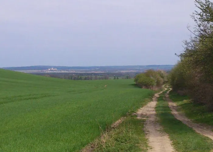 Little Sheep * Chojna