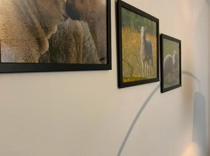 Little Sheep Apartment Chojna