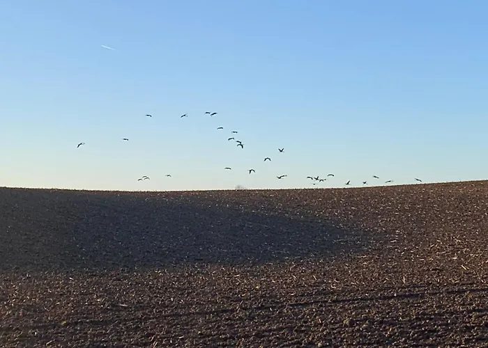 Appartement Little Sheep *