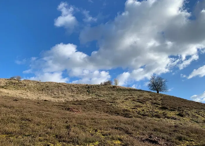 Appartement Little Sheep *