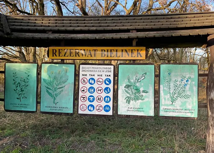 Little Sheep Appartement